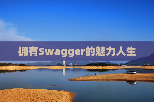 拥有Swagger的魅力人生